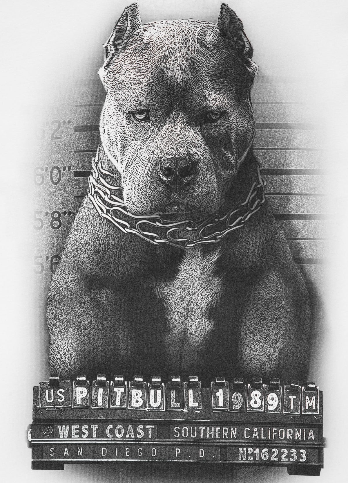 Mugshot II - White