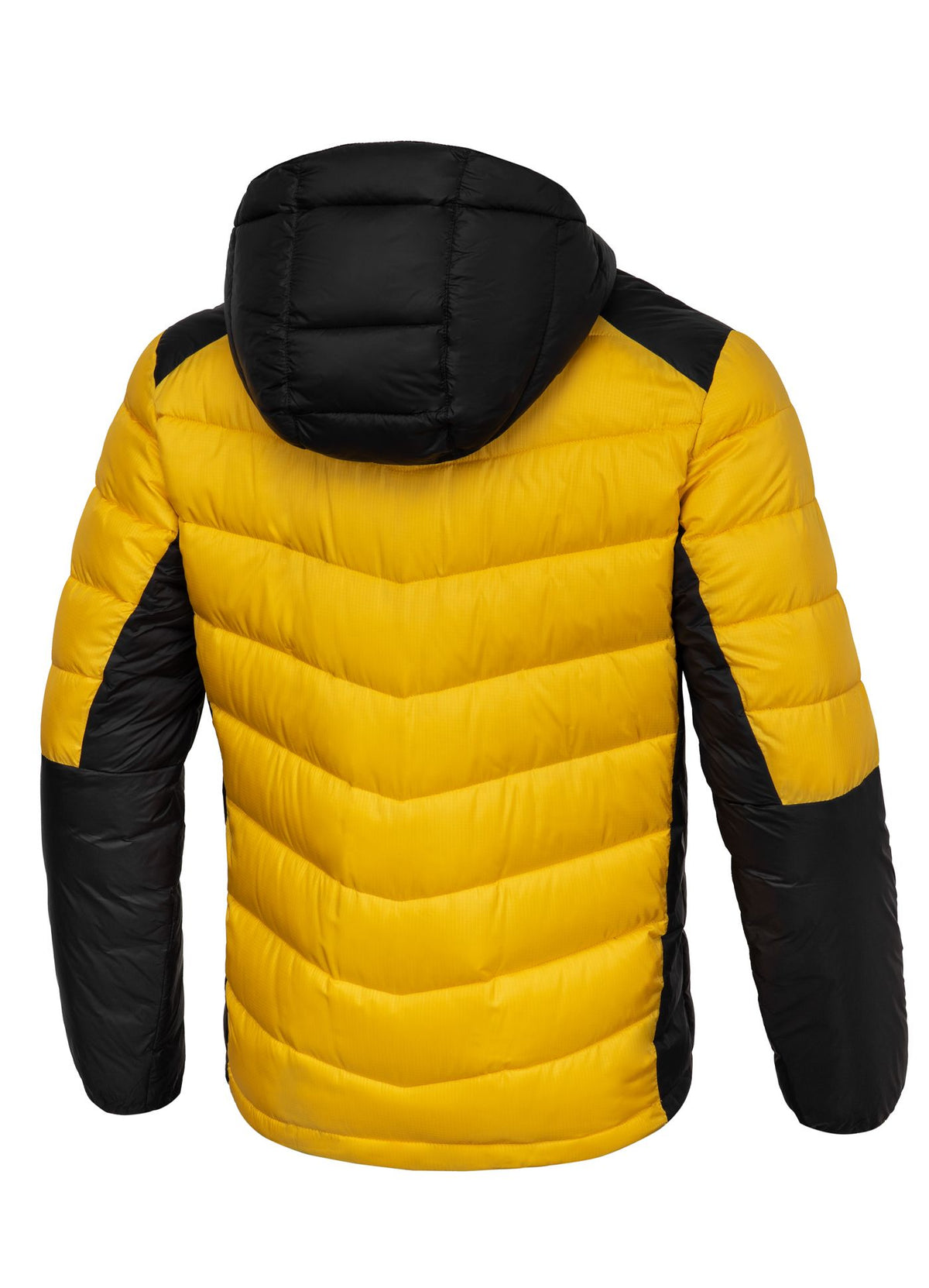 Evergold Hooded Jacket - Black/Yellow