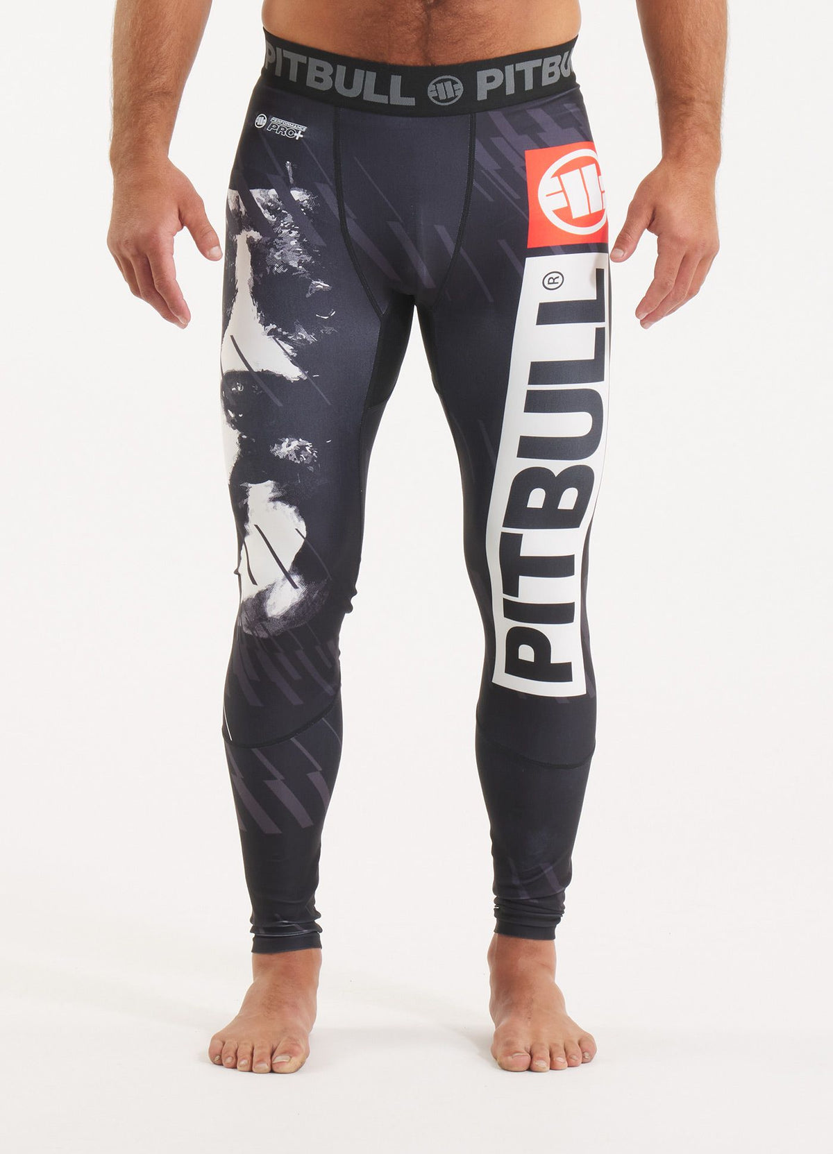 Sports leggings Street Dog