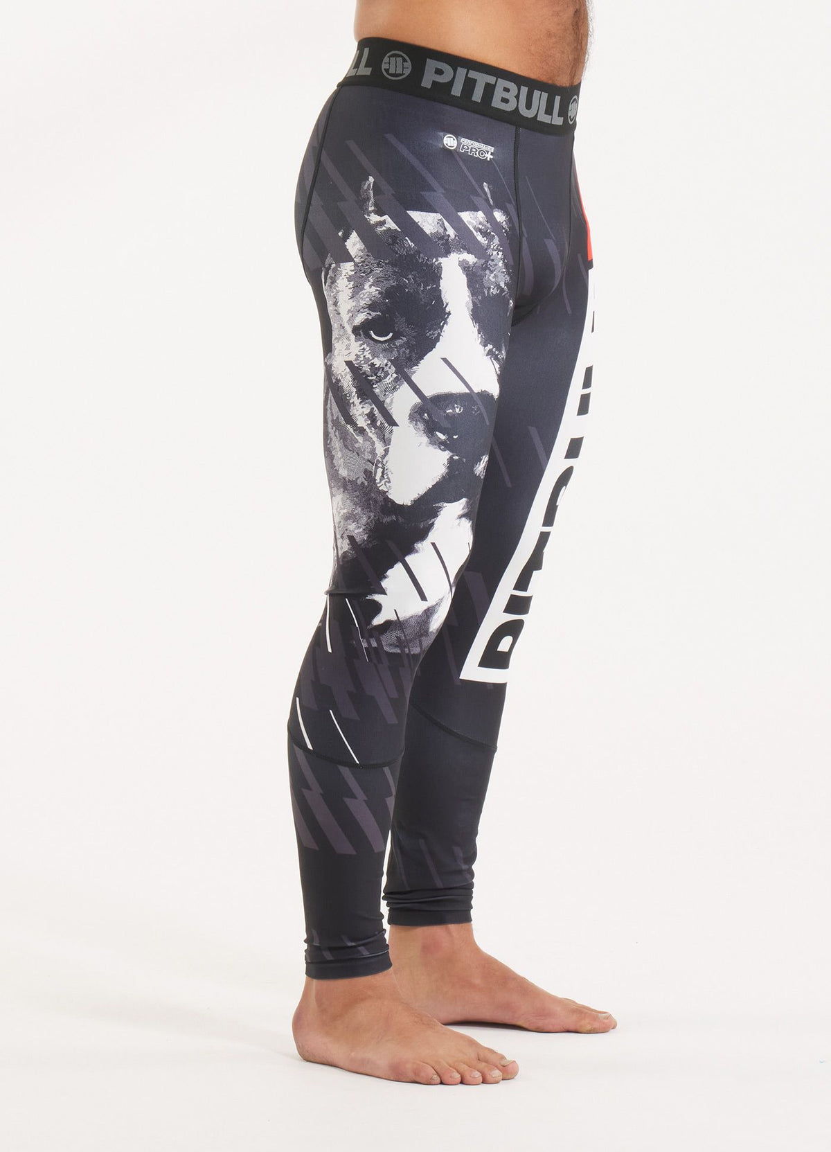 Sports leggings Street Dog