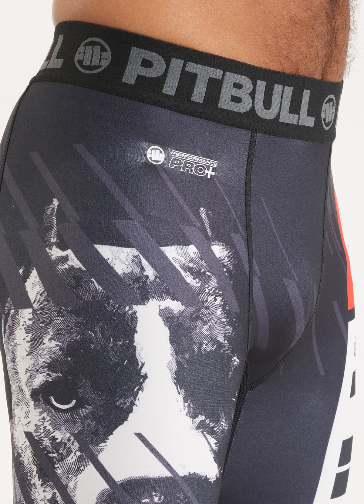 Sports leggings Street Dog