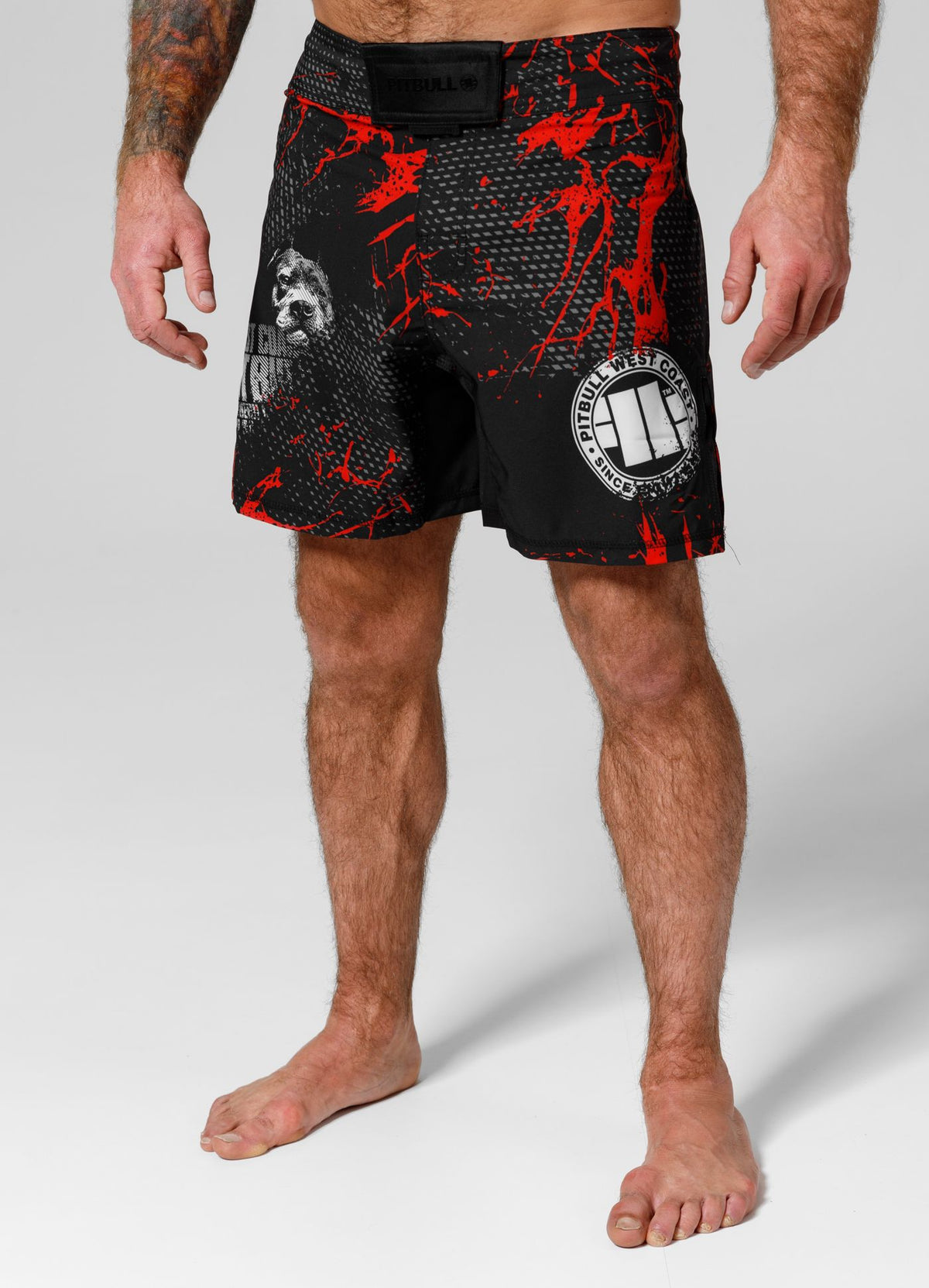 Red Dog II Training Shorts - Black