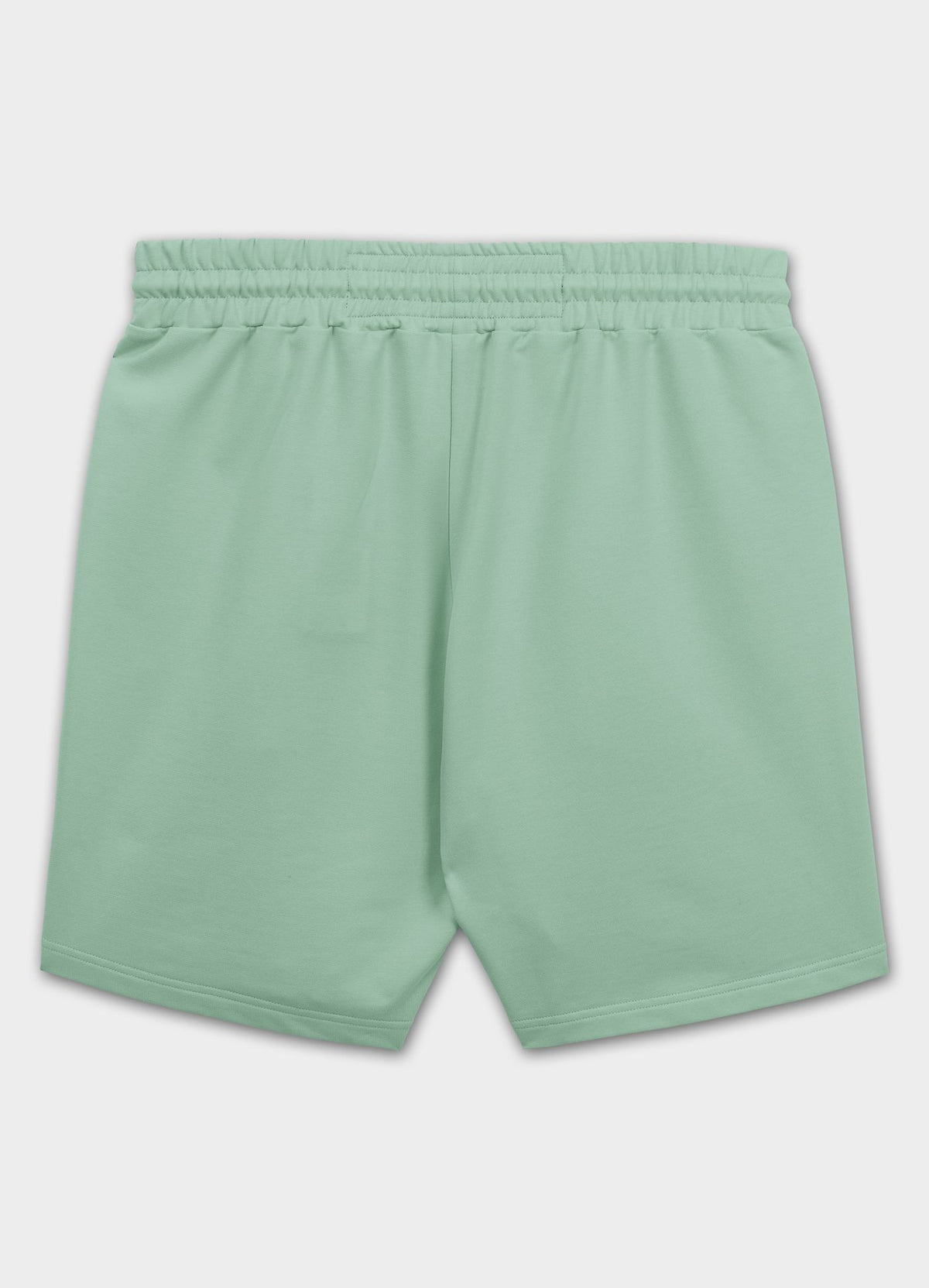 Men&#39;s sweat shorts SMALL LOGO NUGGET - Light mint