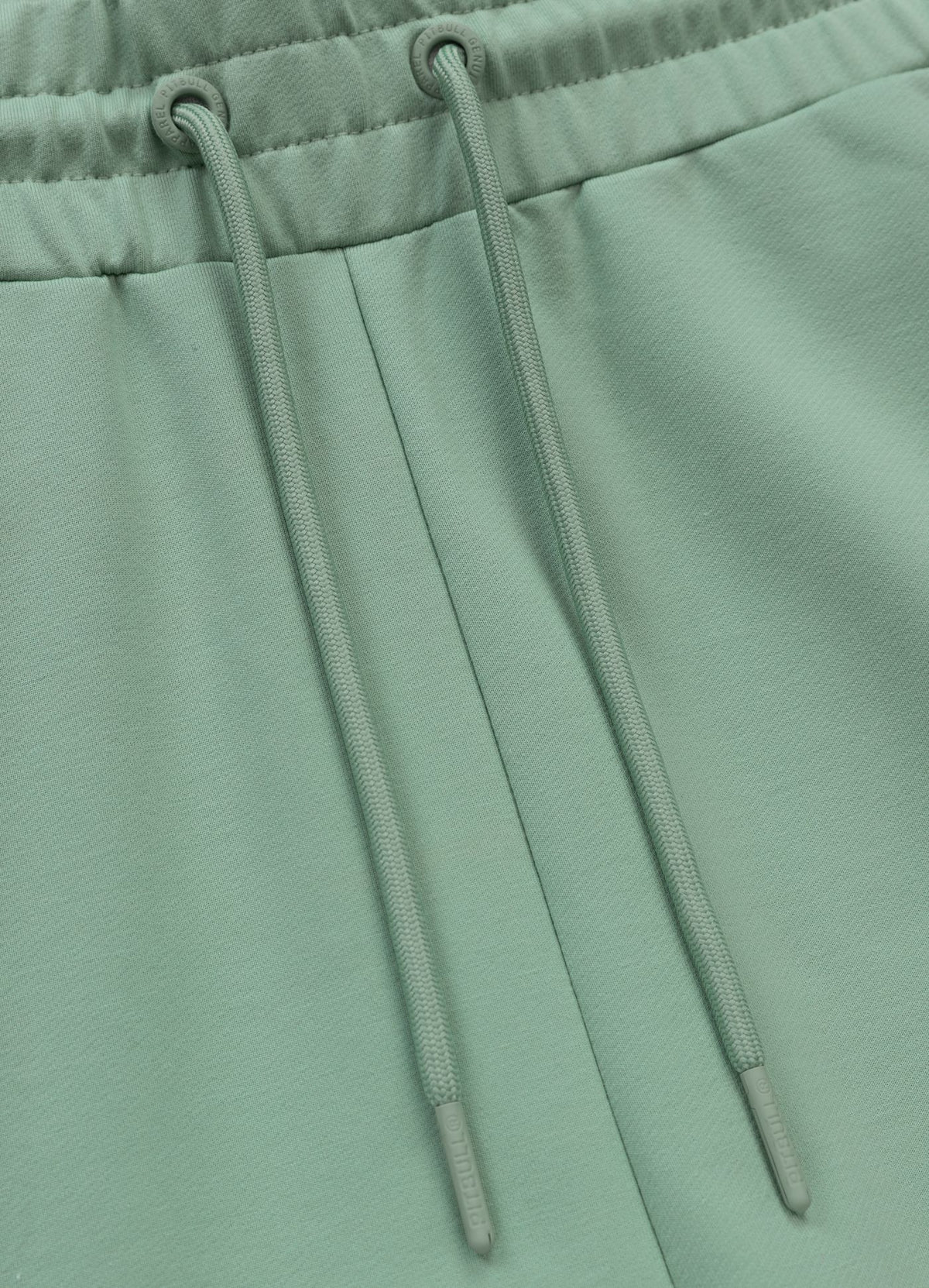 Men&#39;s sweat shorts SMALL LOGO NUGGET - Light mint